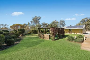 House For Sale - NSW - Ariah Park - 2665 - Lifestyle, Privacy and Tranquility  (Image 2)