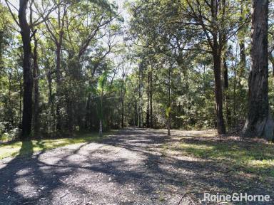 Residential Block For Sale - NSW - Tomerong - 2540 - 3.75 Acres - A Rare South Coast Opportunity  (Image 2)