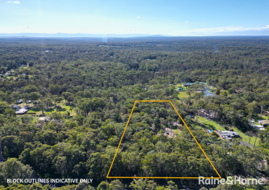 Residential Block For Sale - NSW - Tomerong - 2540 - 3.75 Acres - A Rare South Coast Opportunity  (Image 2)