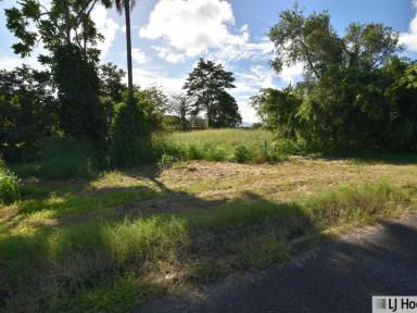 Residential Block For Sale - QLD - Euramo - 4854 - Large Vacant Block in Euramo!  (Image 2)