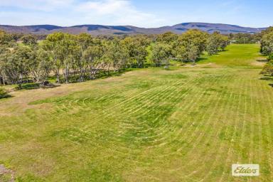 Residential Block For Sale - VIC - Landsborough - 3384 - Attractive Lifestyle Block - 1.5 Acres  (Image 2)