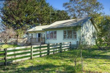 Lifestyle For Sale - VIC - Deans Marsh - 3235 - 'White Gum' – Prime Farming Opportunity in the Otway Hinterland  (Image 2)