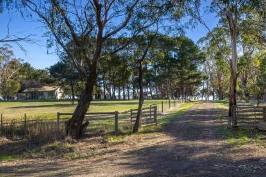 Lifestyle For Sale - VIC - Deans Marsh - 3235 - 'White Gum' – Prime Farming Opportunity in the Otway Hinterland  (Image 2)