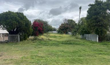 Residential Block For Sale - NSW - Moree - 2400 - Cleared block ready to build!  (Image 2)