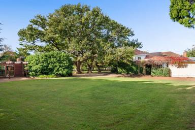 House For Sale - QLD - Rangeville - 4350 - Beautiful Family Estate on 2 Titles  (Image 2)