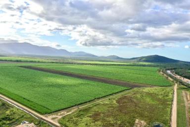 Other (Rural) For Sale - QLD - Majors Creek - 4816 - 725 Acre Cane Farm - Shed - 2025 Sugar Cane Crop (Image 2)