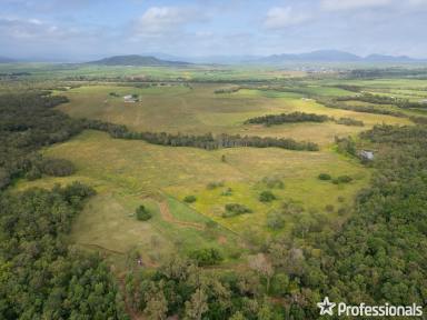 Lifestyle For Sale - QLD - Balnagowan - 4740 - Rural Retreat in Popular Balnagowan - 64.2HA of Peace & Potential!  (Image 2)