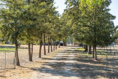 Mixed Farming For Sale - VIC - Cornishtown - 3683 - Complete small unit farm close to major rural centres  (Image 2)