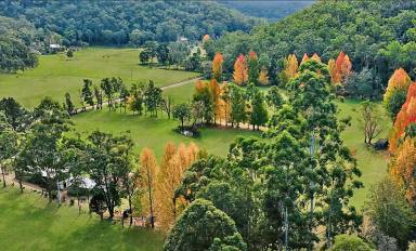 Acreage/Semi-rural For Sale - NSW - Laguna - 2325 - 'Currajong Farm' - Prime Acreage in a Tightly Held Laguna Locale  (Image 2)