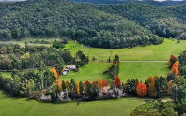 Acreage/Semi-rural For Sale - NSW - Laguna - 2325 - 'Currajong Farm' - Prime Acreage in a Tightly Held Laguna Locale  (Image 2)