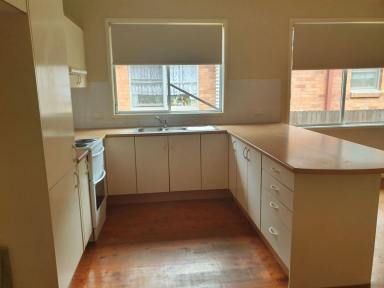 House For Lease - NSW - Muswellbrook - 2333 - DUCTED AIR IN THIS VIBRANT AND BRIGHT 4 B/R HOME HANDY TO TOWN WITH FENCED LEVEL YARD  (Image 2)