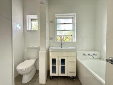 House For Lease - NSW - Ermington - 2115 - Sunny Quiet Renovated 3-bedroom Home in a Prime Location!  (Image 2)
