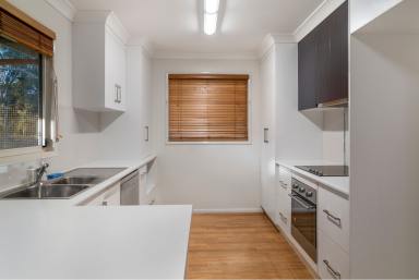 Unit For Lease - QLD - Kleinton - 4352 - Modern Unit with Privacy and Space  (Image 2)