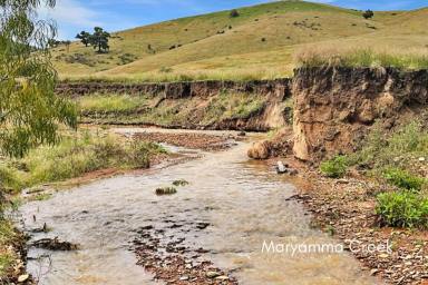 Other (Rural) For Sale - NSW - Wyangala - 2808 - 38ACRE* LIFESTYLE RURAL ESCAPE WITH CREEK FRONTAGE! Camping / fishing / Hunting  (Image 2)