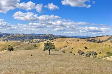Other (Rural) For Sale - NSW - Wyangala - 2808 - 38ACRE* LIFESTYLE RURAL ESCAPE WITH CREEK FRONTAGE! Camping / fishing / Hunting  (Image 2)