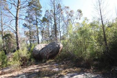 Residential Block For Sale - QLD - Stanthorpe - 4380 - Expansive 4.97-Acre Block in Scenic Stanthorpe  (Image 2)