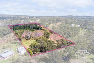 Residential Block For Sale - NSW - Torrington - 2371 - Build Your Dream on 5.6 Acres  (Image 2)