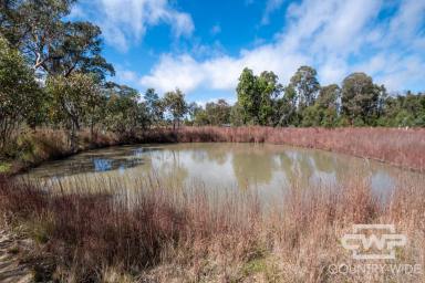 Residential Block For Sale - NSW - Torrington - 2371 - Build Your Dream on 5.6 Acres  (Image 2)