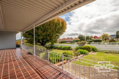 House For Sale - NSW - Glen Innes - 2370 - Immaculate 3-Bedroom Home with Workshop on 895m²  (Image 2)