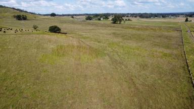 Livestock For Sale - NSW - Backmede - 2470 - 545 acres - BACKMEDE  (Image 2)