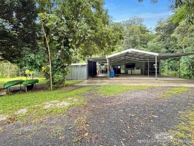 House For Sale - QLD - Speewah - 4881 - EXCEPTIONAL PRIVATE ACREAGE HAVEN  (Image 2)