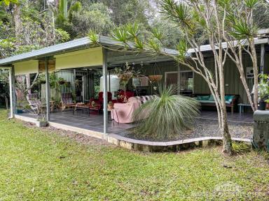 House For Sale - QLD - Speewah - 4881 - EXCEPTIONAL PRIVATE ACREAGE HAVEN  (Image 2)