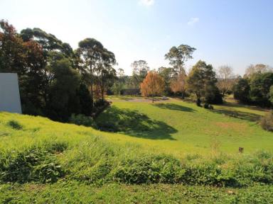 Residential Block For Sale - VIC - Bairnsdale - 3875 - BUILD YOUR DREAM HOME HERE.  (Image 2)