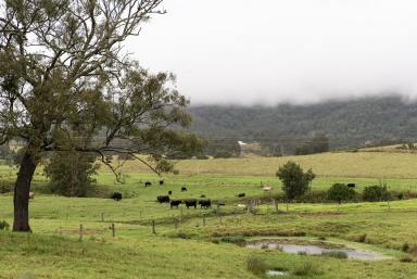 Acreage/Semi-rural Auction - NSW - Vacy - 2421 - Country Charm - 2 Acres of Rustic Beauty  (Image 2)