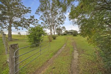 Acreage/Semi-rural Auction - NSW - Vacy - 2421 - Country Charm - 2 Acres of Rustic Beauty  (Image 2)