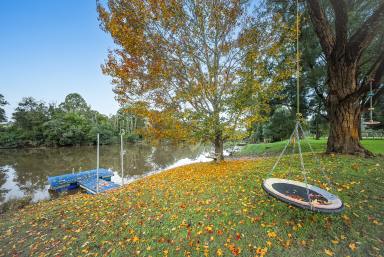 Acreage/Semi-rural For Sale - NSW - Clarence Town - 2321 - RIVERS EDGE - Where Every Day Feels Like a Holiday  (Image 2)