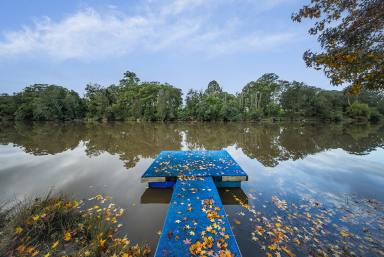 Acreage/Semi-rural For Sale - NSW - Clarence Town - 2321 - RIVERS EDGE - Where Every Day Feels Like a Holiday  (Image 2)