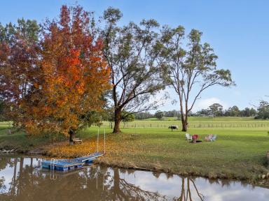 House Auction - NSW - Clarence Town - 2321 - Country Living Meets Riverfront Lifestyle  (Image 2)