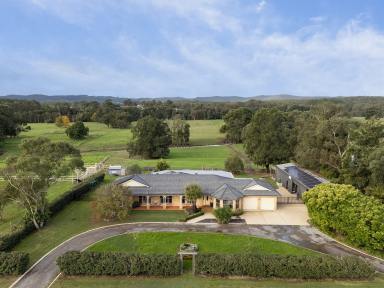 Acreage/Semi-rural For Sale - NSW - Clarence Town - 2321 - Country Living Meets Riverfront Lifestyle  (Image 2)