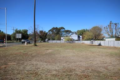 Residential Block For Sale - VIC - Elmore - 3558 - CORNER BLOCK WITH GREAT FRONTAGE  (Image 2)