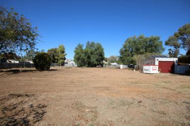 Residential Block For Sale - VIC - Lockington - 3563 - DUAL TITLE OPPORTUNITY IN THE HEART OF LOCKINGTON  (Image 2)