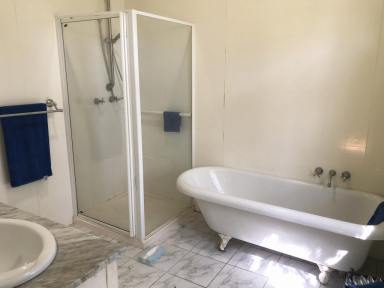 House For Sale - QLD - Cooktown - 4895 - Timeless Charm Meets Business Potential  (Image 2)