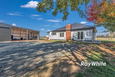 Lifestyle For Sale - VIC - Girgarre - 3624 - The Ultimate Blend of Comfort and Country Living  (Image 2)