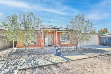 House For Sale - VIC - Red Cliffs - 3496 - VALUE PACKED OPPORTUNITY  (Image 2)