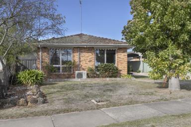 House For Sale - VIC - Wendouree - 3355 - Well Built Brick Veneer With Renovated Comforts  (Image 2)