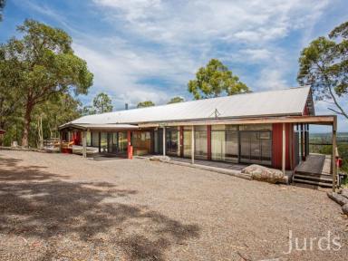 Lifestyle For Sale - NSW - Vacy - 2421 - BANJOS - Luxury, Seclusion and Proven Income in the Hunter Valley  (Image 2)