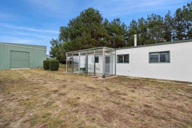 Lifestyle For Sale - NSW - Parkesbourne - 2580 - Escape the city and embrace the tranquility of rural living  (Image 2)