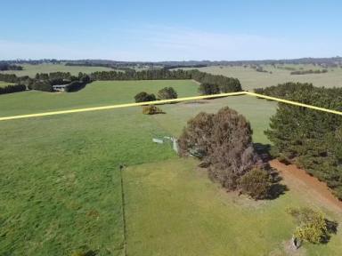 Lifestyle For Sale - NSW - Parkesbourne - 2580 - Escape the city and embrace the tranquility of rural living  (Image 2)