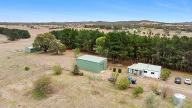 Lifestyle For Sale - NSW - Parkesbourne - 2580 - Escape the city and embrace the tranquility of rural living  (Image 2)