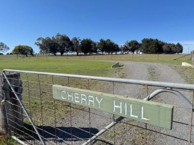 Lifestyle For Sale - NSW - Parkesbourne - 2580 - Escape the city and embrace the tranquility of rural living (Image 2)