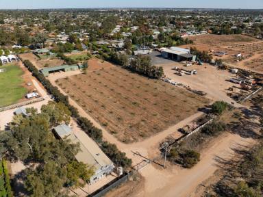 Residential Block For Sale - VIC - Mildura - 3500 - Endless Possibilities  (Image 2)