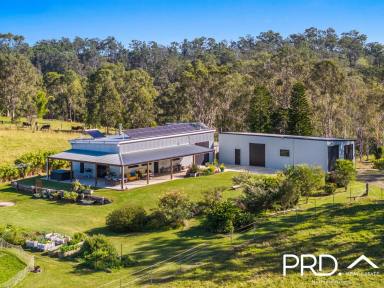 Lifestyle For Sale - NSW - Homeleigh - 2474 - Lifestyle Property Close to Town  (Image 2)