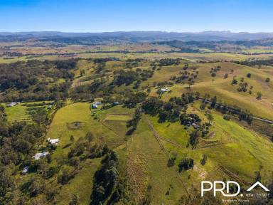 Lifestyle For Sale - NSW - Homeleigh - 2474 - Lifestyle Property Close to Town  (Image 2)