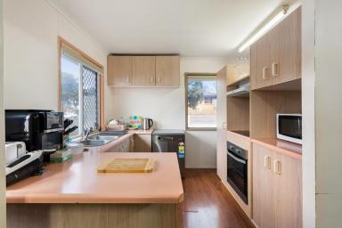 House For Sale - QLD - South Toowoomba - 4350 - Charming 1960s Home with Endless Potential in South Toowoomba  (Image 2)