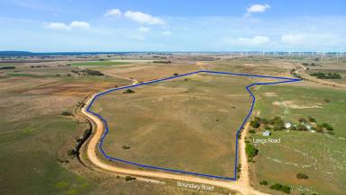 Livestock For Sale - SA - Tantanoola - 5280 - 359 Boundary Rd, Tantanoola  (Image 2)