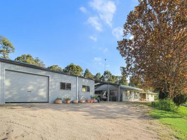 House For Sale - VIC - Sarsfield - 3875 - 7 ACRES, A GREAT HOME PLUS BRILLIANT SHEDDING - ITS ALL HERE!!  (Image 2)